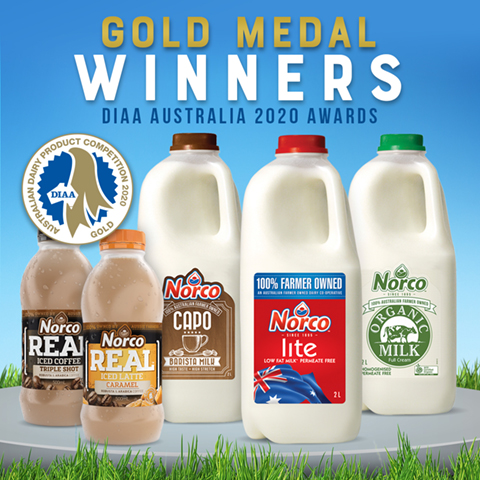 playzone gcash sign up