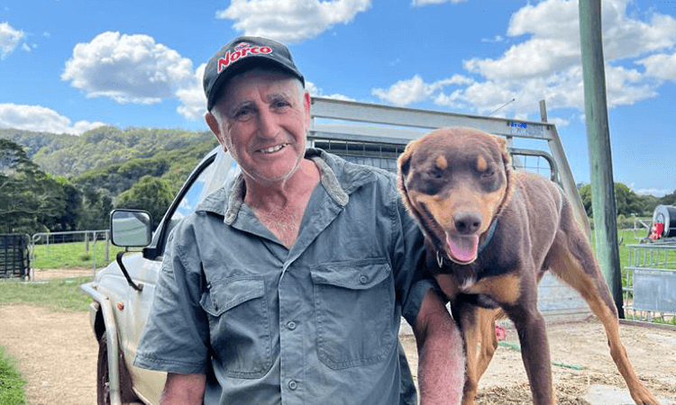 playzone gcash casino