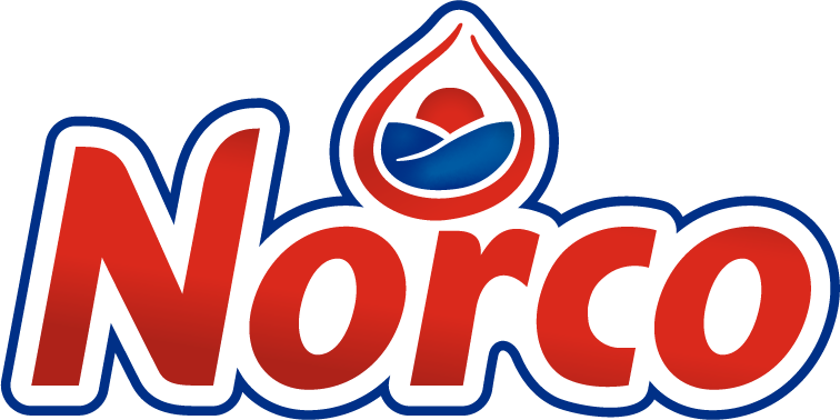 playzone gcash casino