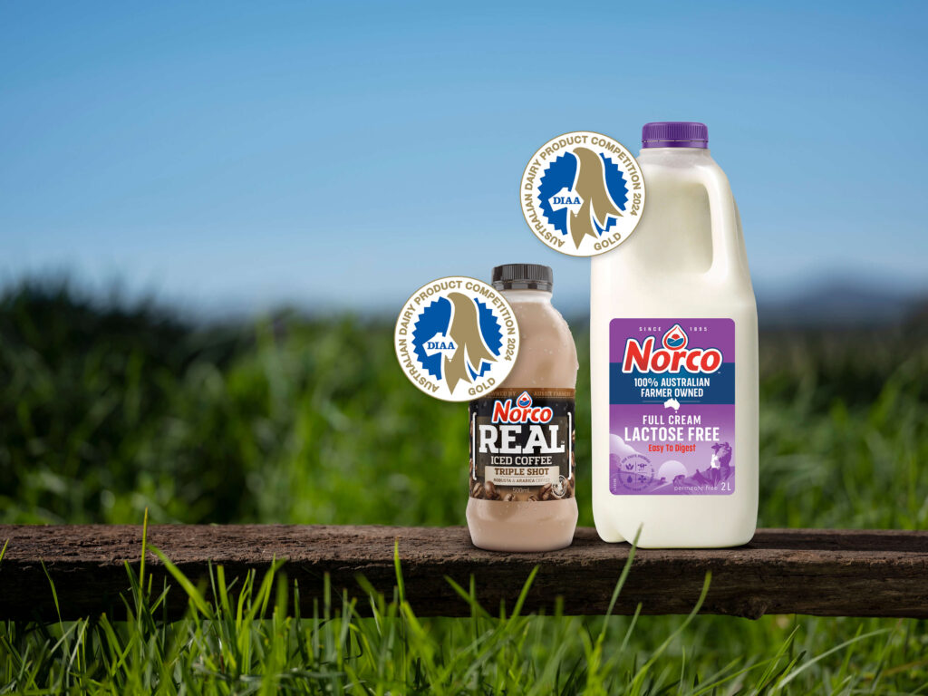 playzone gcash register